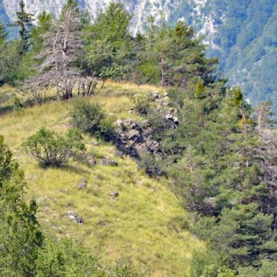 Le Cret Montricher-Albanne